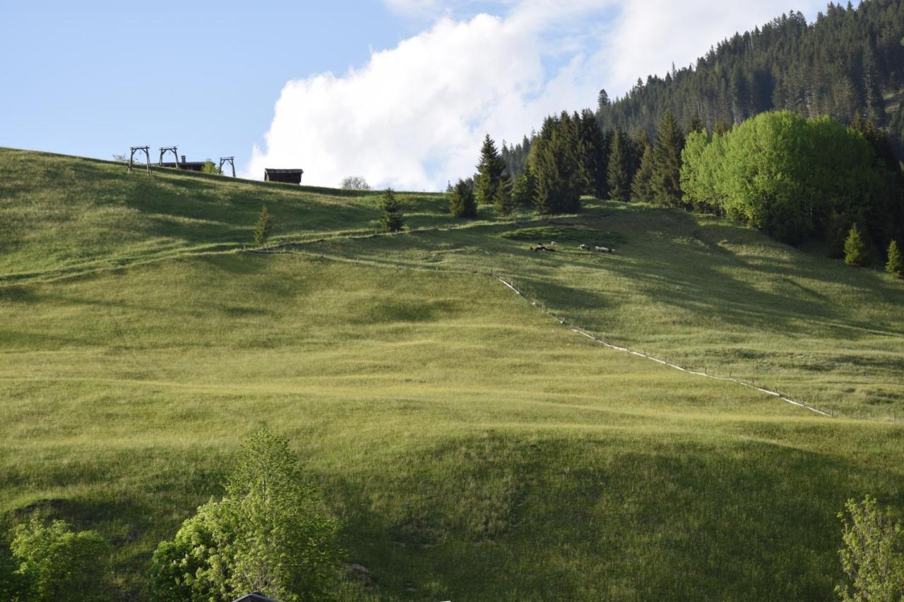Foersterhaus Lejlighed Holzgau Eksteriør billede